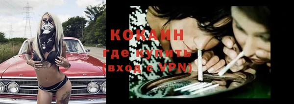 тгк Пестово