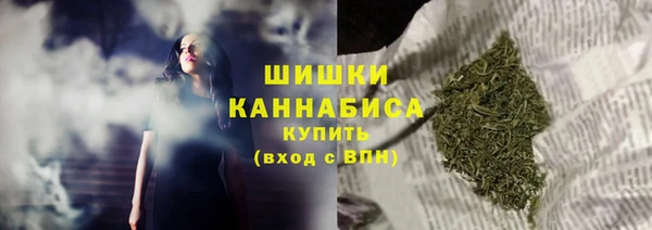 тгк Пестово